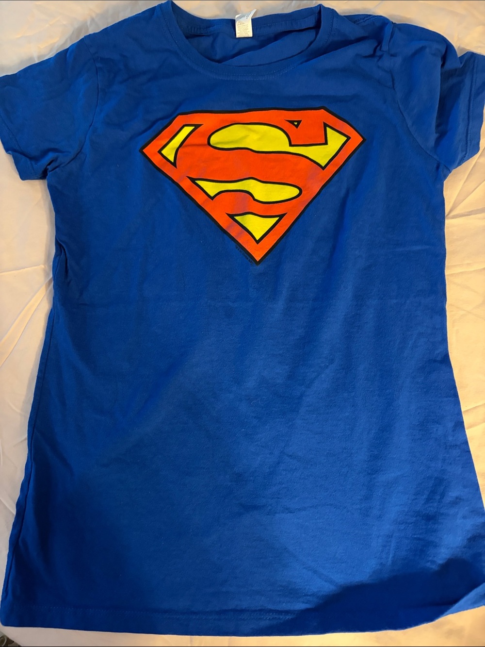Fruit of the Loom Royal Blue Superman Logo Tee